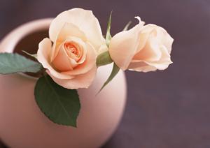 東京で中古家具なら実績のCOLT