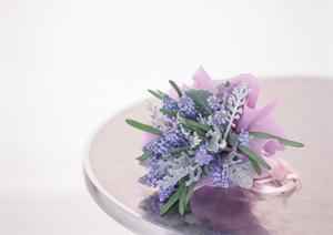 ダニを完璧に除去してくれる大きな特徴